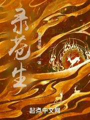 大劫苍生录攻略