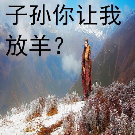 拓跋宏帅吗