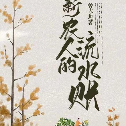 村级流水账怎么记