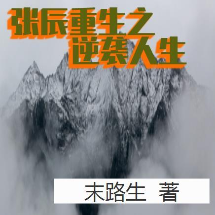 主角叫张辰的重生偶像