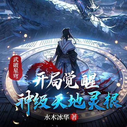 武破天穹百度百科