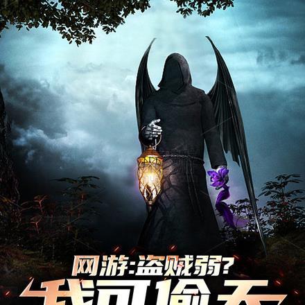 盗贼网游完本