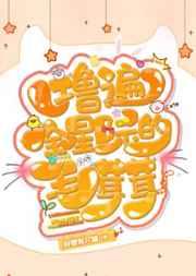 全星际都爱我