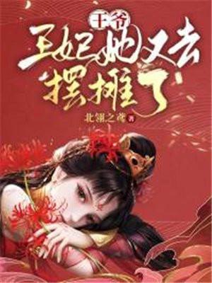 王爷王妃她又去摆摊了萧无白