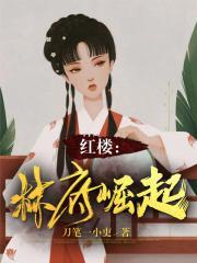 红楼林府崛起有几个女主