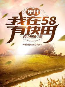 年代我在58有块田_风中折腰_苍天