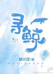 寻鲸电子商务
