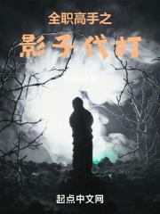全职高手之影子代打大结局