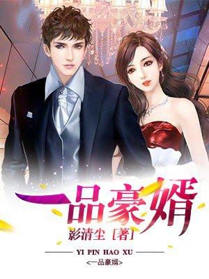 一品豪婿叶凡免费阅读
