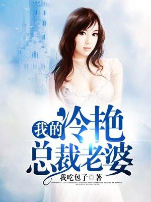 我的冷艳总裁老婆TXT笔趣阁