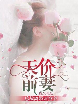 天价前妻总裁离婚请签字免费阅读