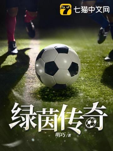 绿茵传奇vip价钱表