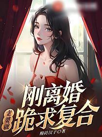 刚离婚老婆就跪求复合全文免费