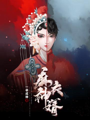 麻衣神婿TXT