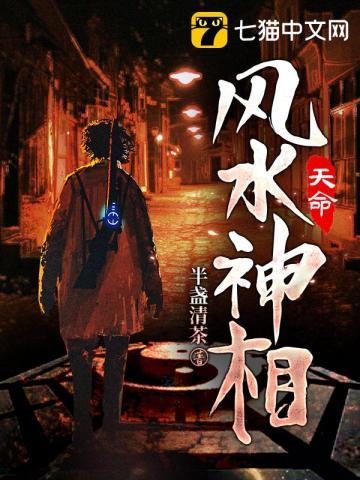 天命风水神相 半盏清茶