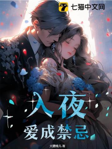 入夜后txt