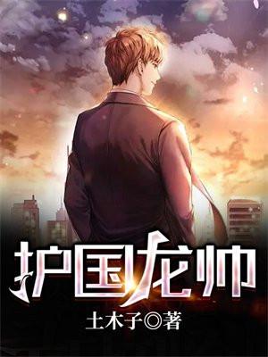 护国龙帅 短剧 在线看
