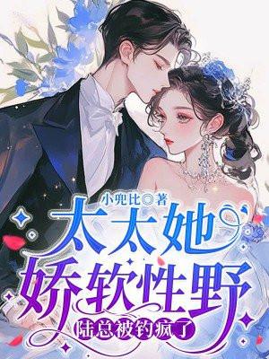 太太她娇软性野陆总被钓疯了