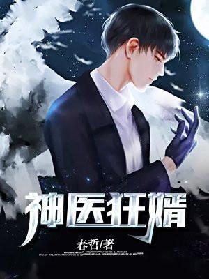 神医狂婿俏总裁龙心泉免费阅读