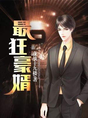 最狂豪婿夜战十九楼