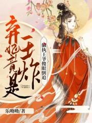 南宫晚免费阅读全文