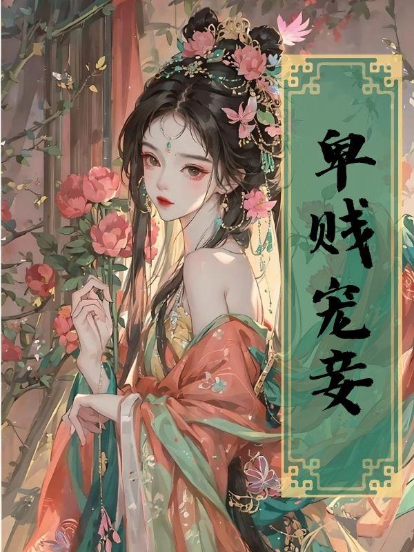 卑贱无防盗