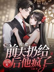 女主叫陆夕颜的言情