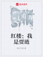 红楼我是贾琏起点