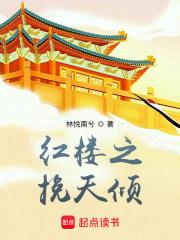 红楼之挽天倾笔趣闻