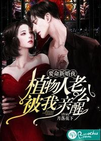 贾瑞贾蓉贾蔷