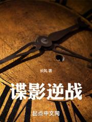谍影逆战 长风