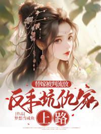 宁婉儿季如歌全本免费阅读