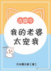 我的老婆太宠我全文