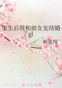 重生后我和前女友结婚了番外