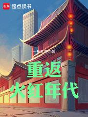 重返火红年代顶点