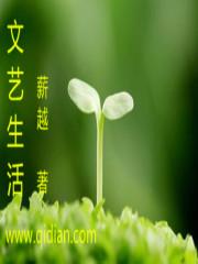 文艺生活艺术中国是核心期刊吗
