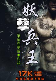 妖孽兵王在都市叶枫