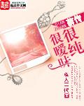 4.重生追美记
