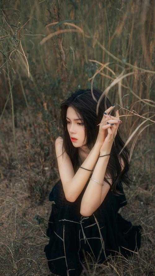茘枝沈焕