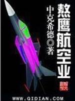 熬鹰航空业电子书TXT