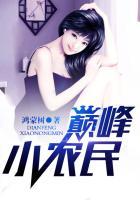 巅峰小农民全本