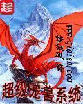 超级宠兽系统介绍