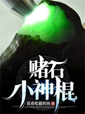 赌石小神棍TXT奇书网