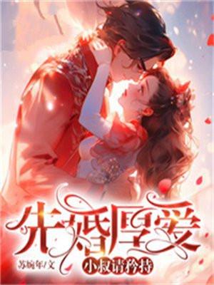 小叔请轻撩免费阅读