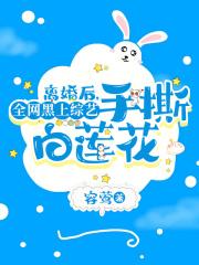 离婚之后综艺