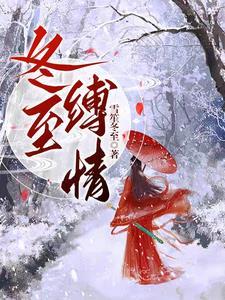 冬至缚情作昔雪笙冬至