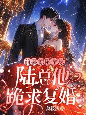 总裁的前妻陆离