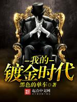 我的镀金时代黑色的单车