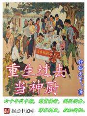 重生过去当神厨视频动画合集9小时