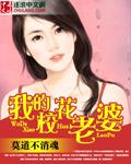 我的校花老婆莫道不销魂简介txt